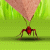 הנמלה זורקת למרחק