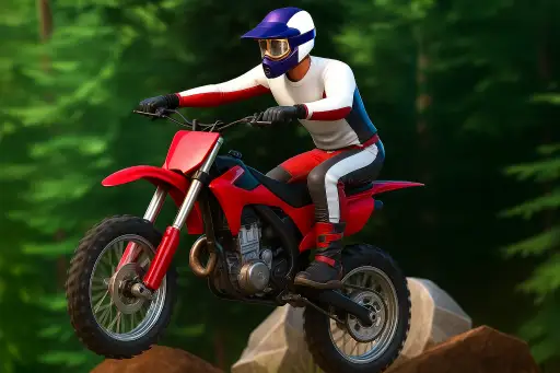 שיגעון האופנועים 2 - Motorcycle Madness 2