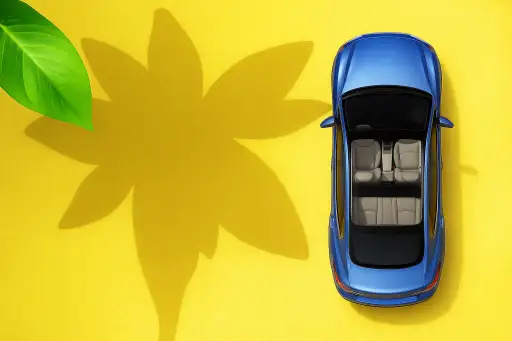 מכוניות במדבר - Cars in the Desert