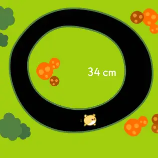 מירוץ אוגרים - Hamster Race