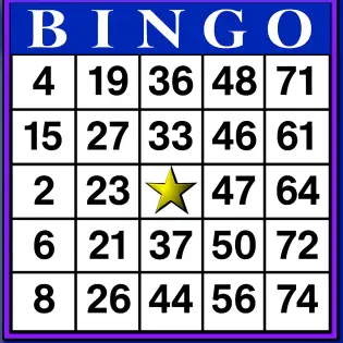 מגה בינגו - Mega Bingo