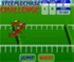 אתגר המכשולים - Steeplechase Challenge