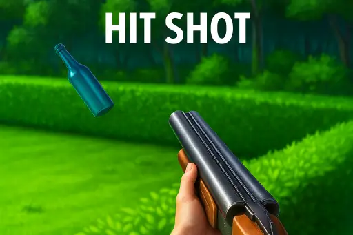 יריות במטרה - Target Shooting